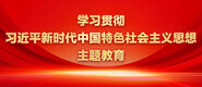 女操逼,免费看学习贯彻习近平新时代中国特色社会主义思想主题教育_fororder_ad-371X160(2)